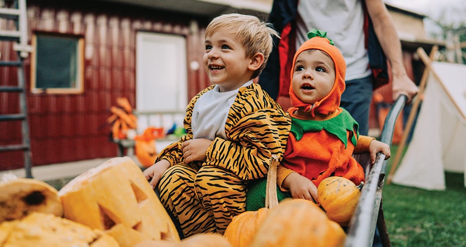 Halloween Laundry Guide for Fun, Décor & More