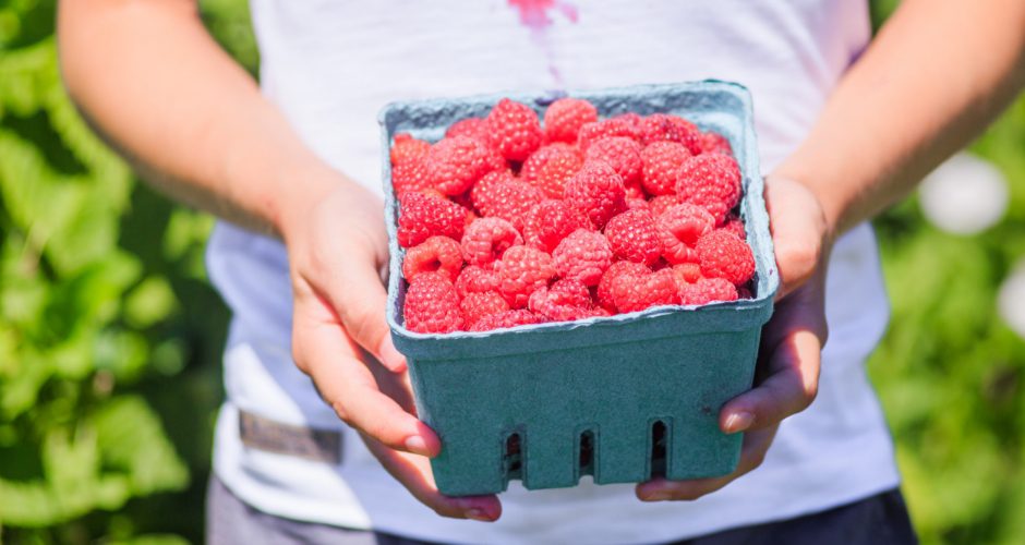 How to Get Berry Stains Out of Clothes Easily 