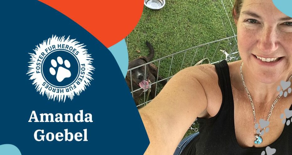 Foster Fur Heroes: Amanda Goebel